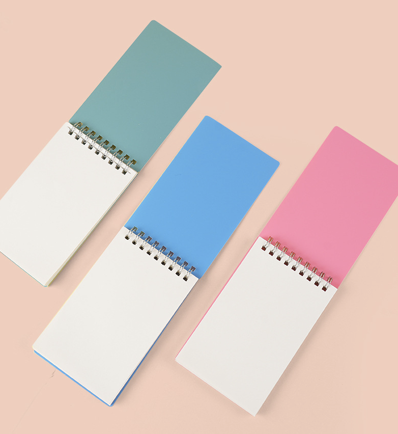 Little Spiral Notebook 1