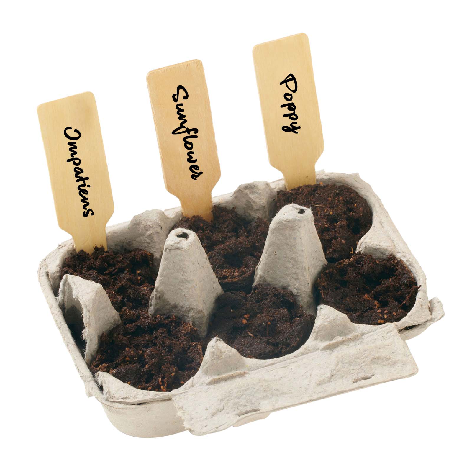 Yellow Grow Your Own Garden of Hope Planter Kit 6