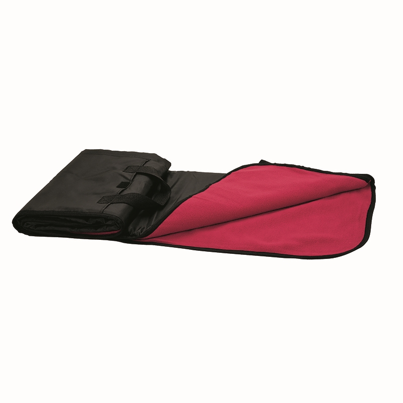 Fairview Picnic Blanket 16