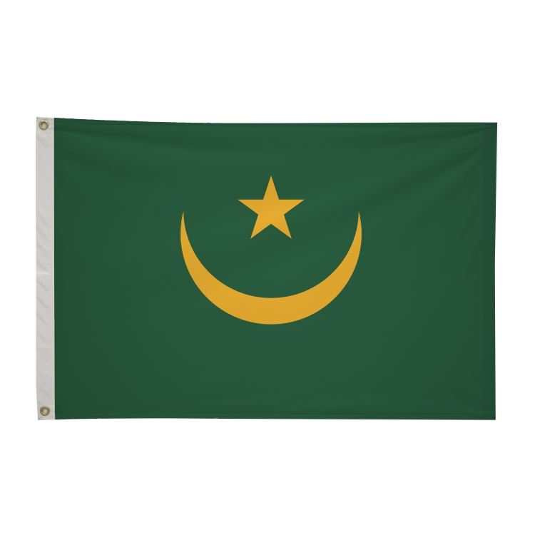 2' x 3'International Flag 163