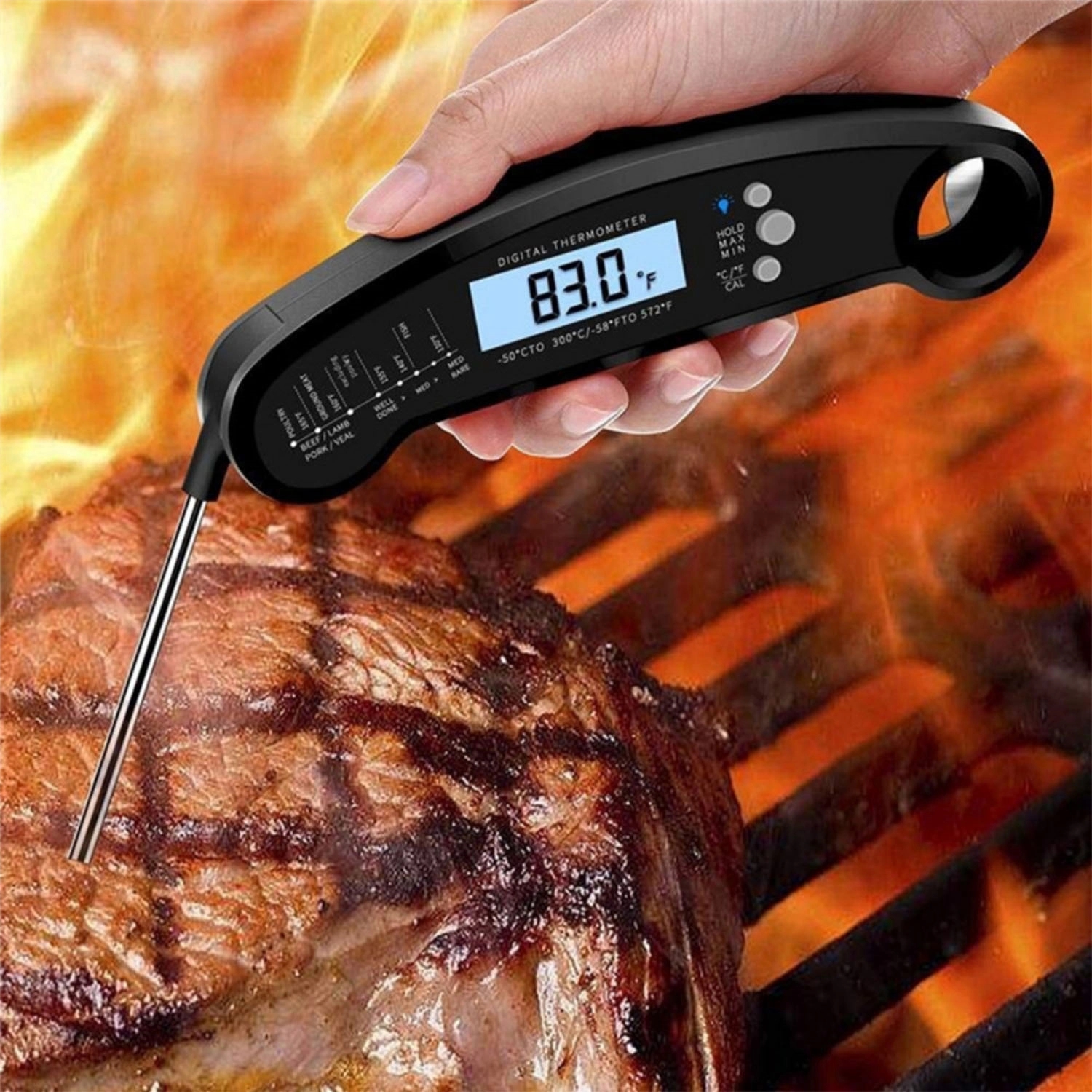 Meat Thermometer 1