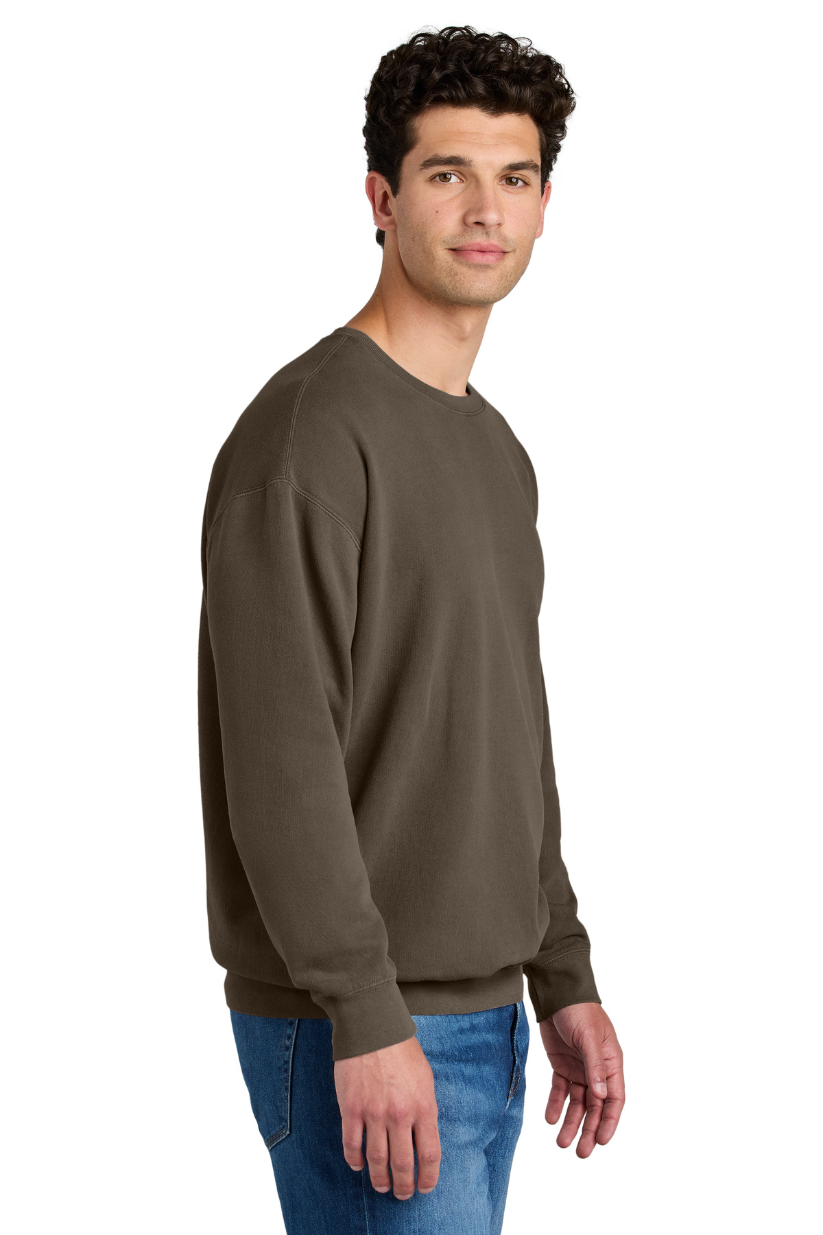 Comfort Colors Lightweight Crewneck Sweatshirt 1466 70