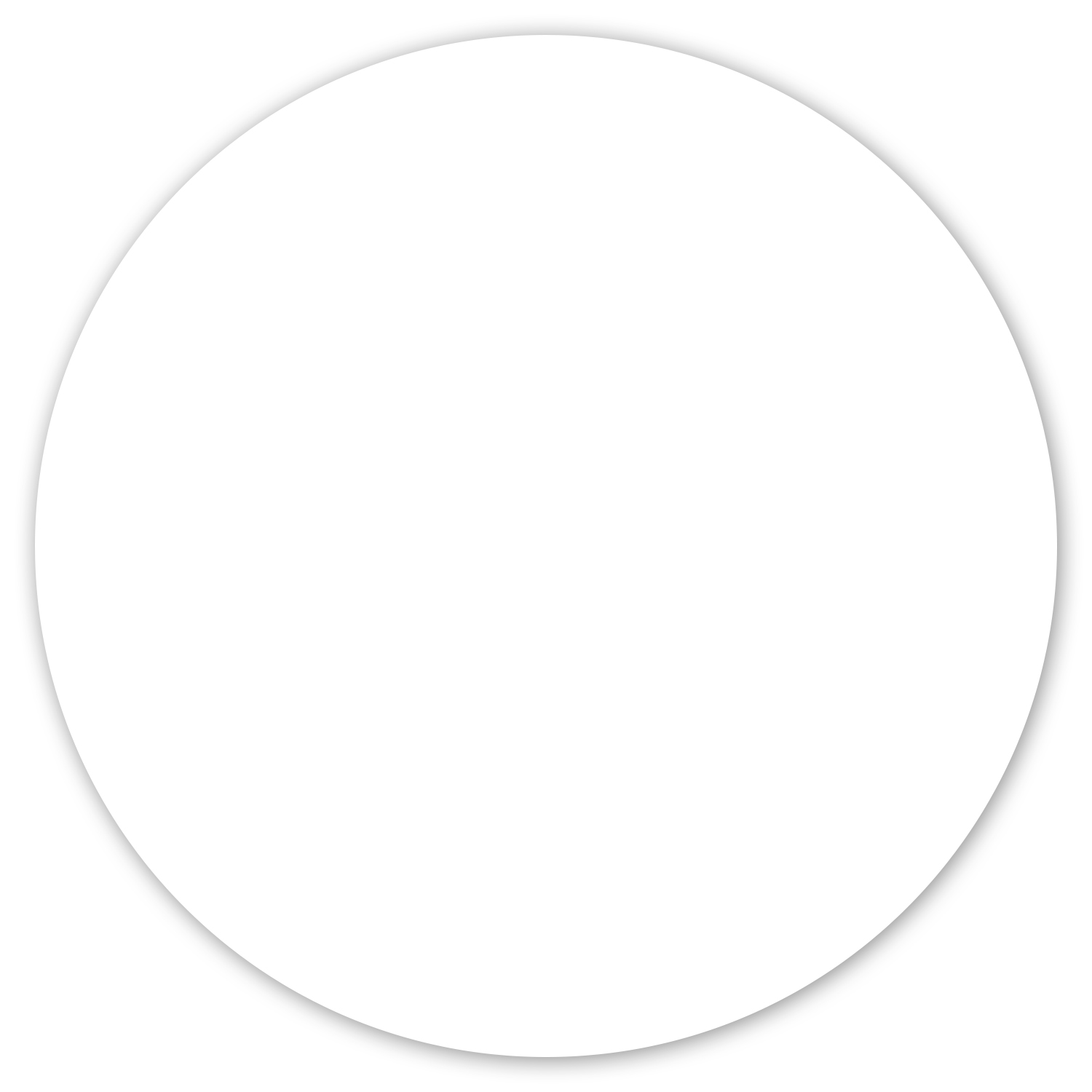 Car Sign Circle Magnet 5 in diam 1