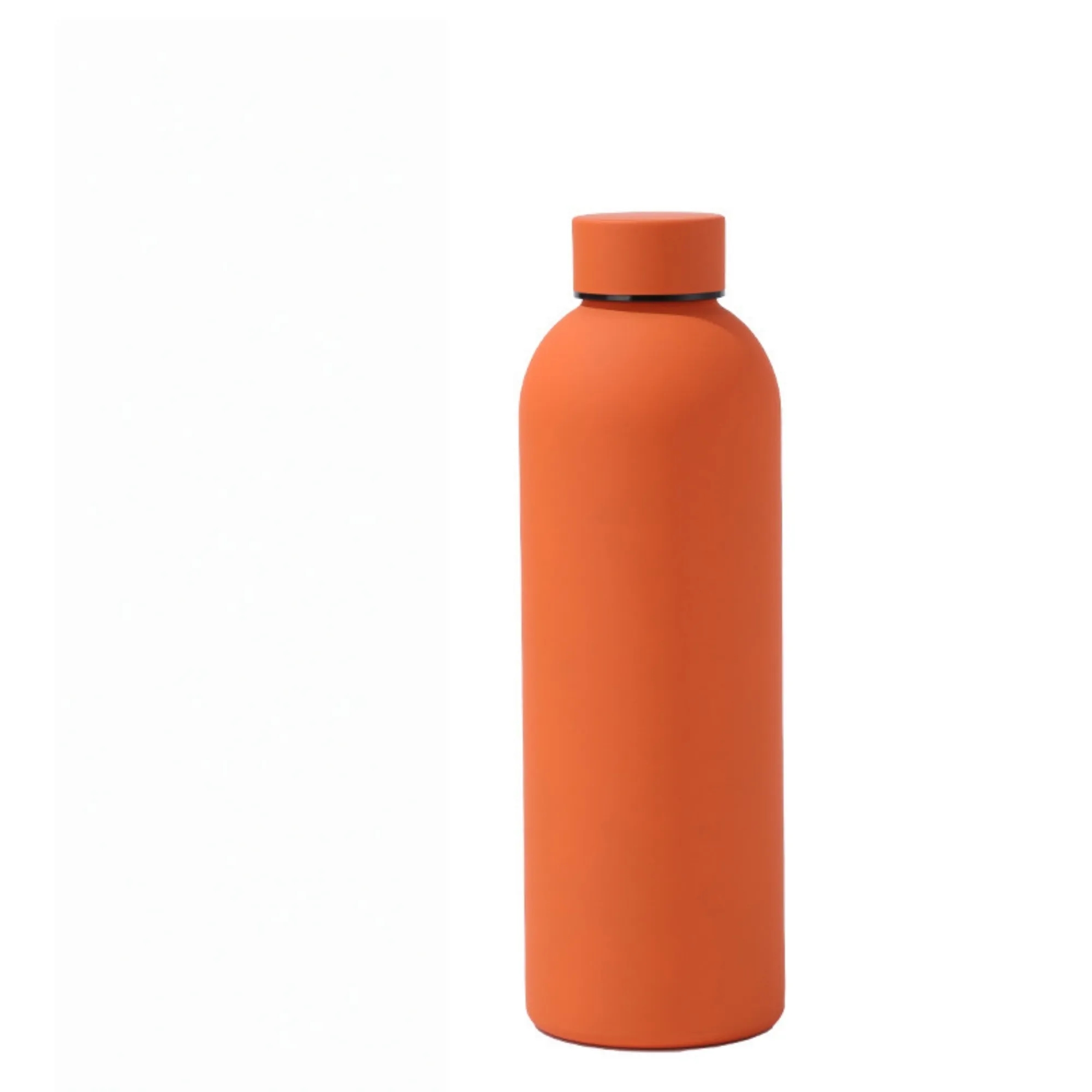 17 oz Vacuum Insulated Stainless Steel Water Bottle 6