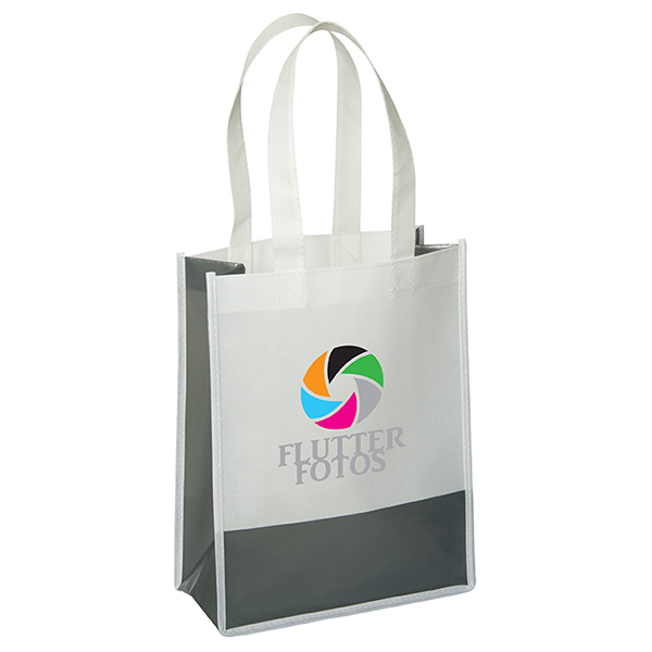 Andover Way Small Laminated Bag 3