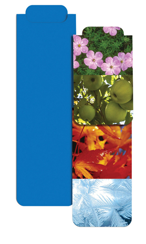 Good Value™ Standard Magneticmark Bookmark 51