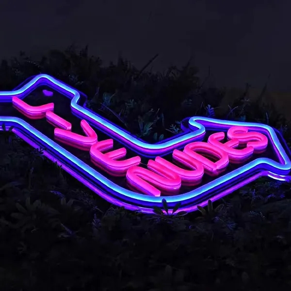 Acrylic Neon Signs 11