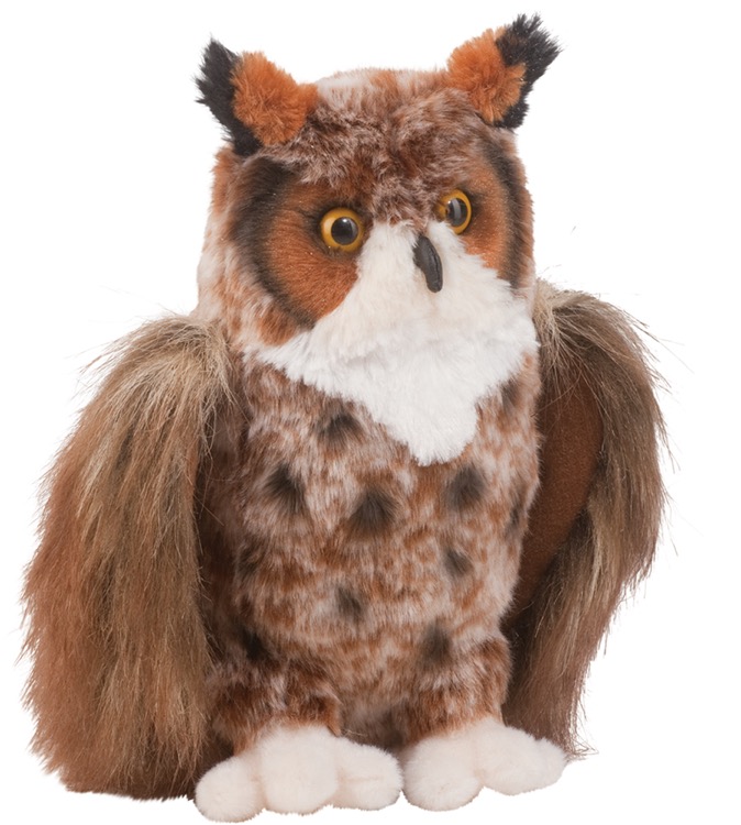 Einstein Great Horned Owl 1