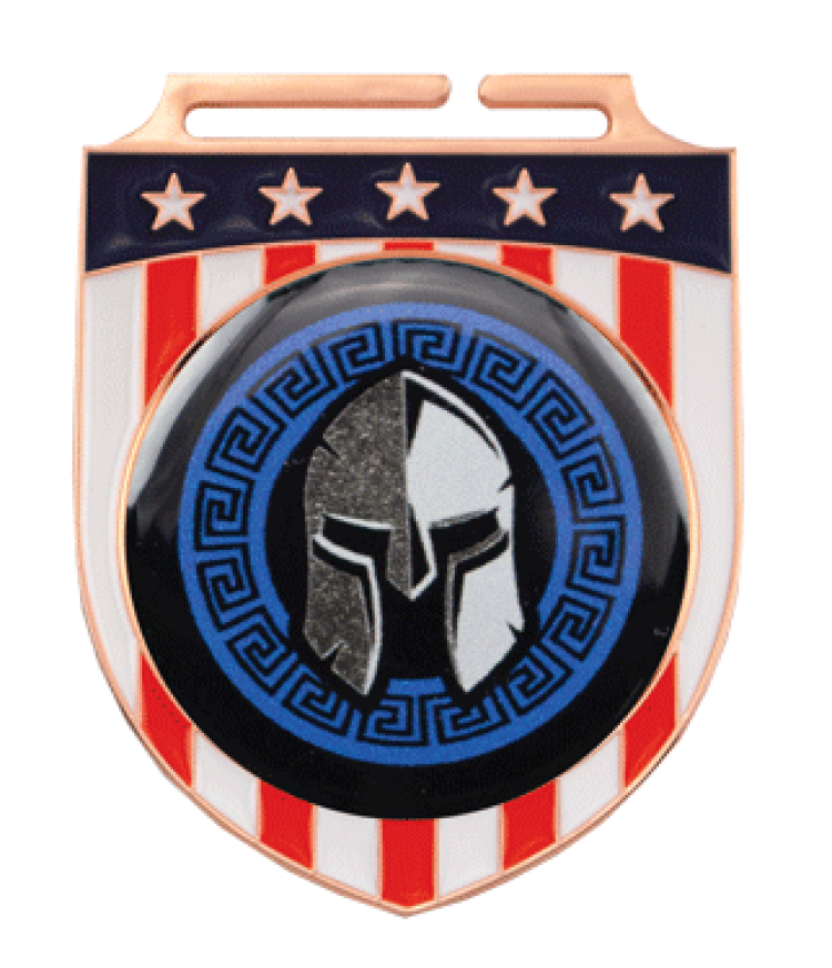 Express Vibraprint™ Patriotic Shield Insert Medallion (2-3/4") 3