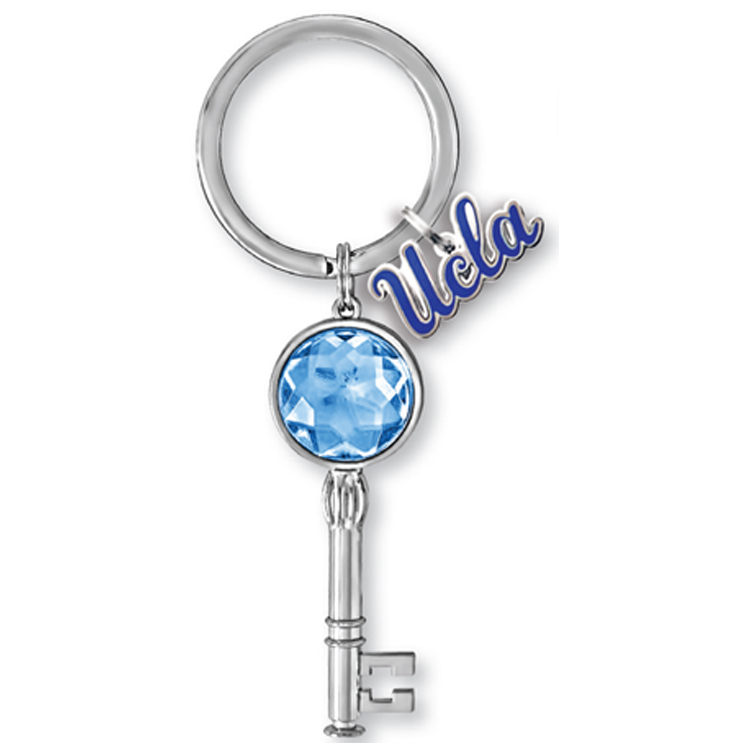 Bling Skeleton Key Tag With Message Tag 2