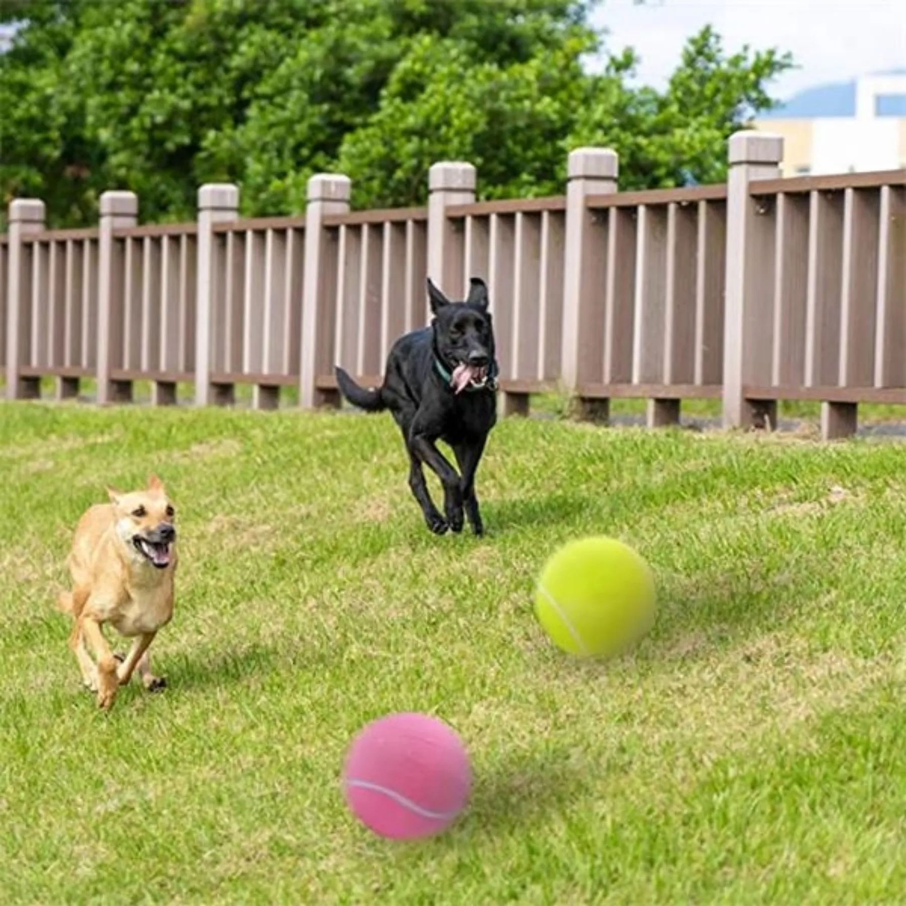 9.5" Inflatable Giant Pet Tennis Balls 4