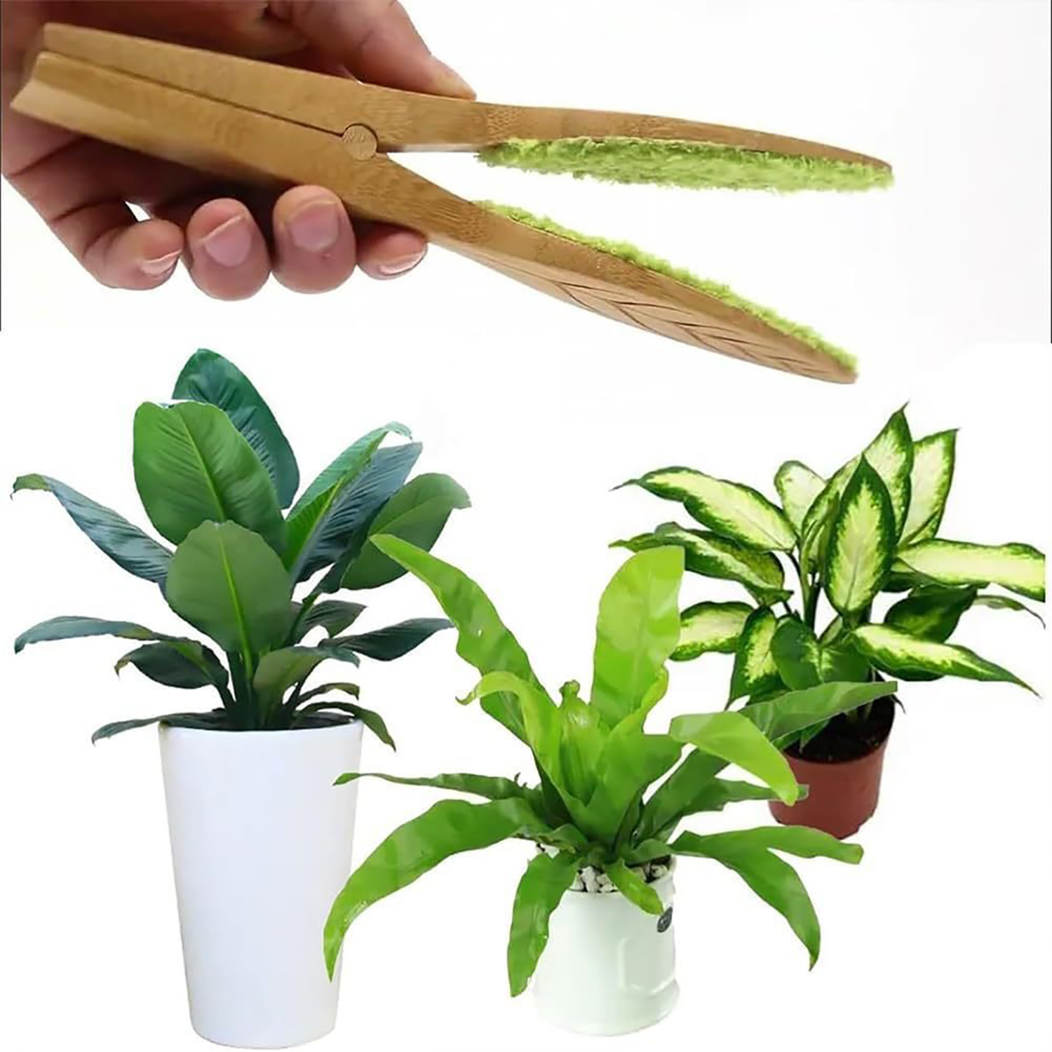 Garden Plant Cleaning Brush 4