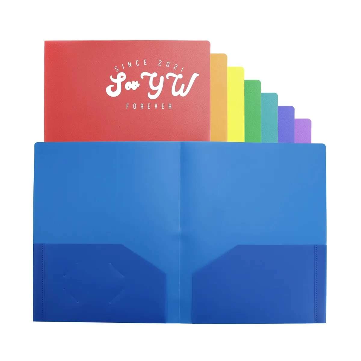 A4 Size Plastic Folder With Pockets 2