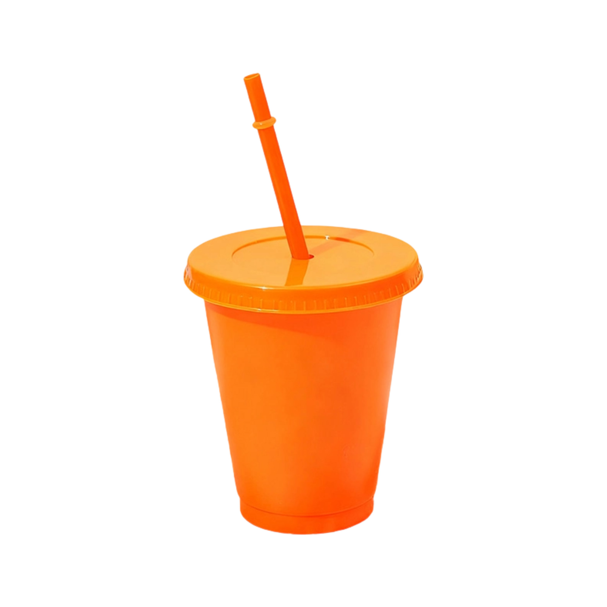 Plastic Sippy Cup 16 Ounce Spill Resistant 2