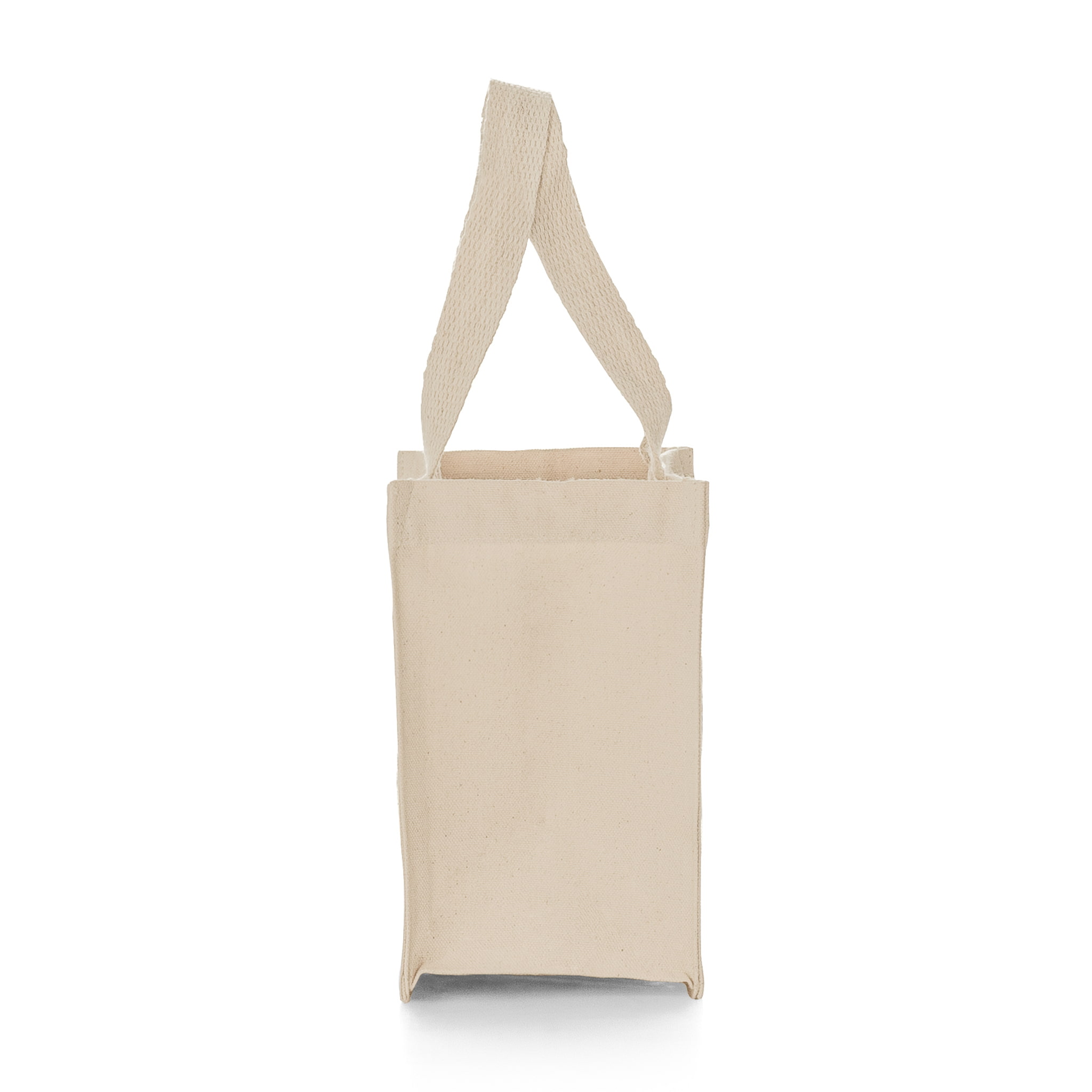 Small Square Canvas Tote (NEW STYLE) 3