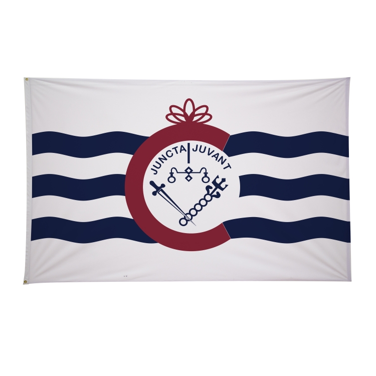 5' x 8' City Flags 13