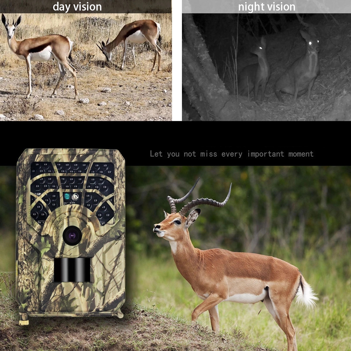 Trail Game Camera 5MP 720P 3