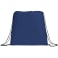 Evergreen Non-Woven Drawstring Bag 14