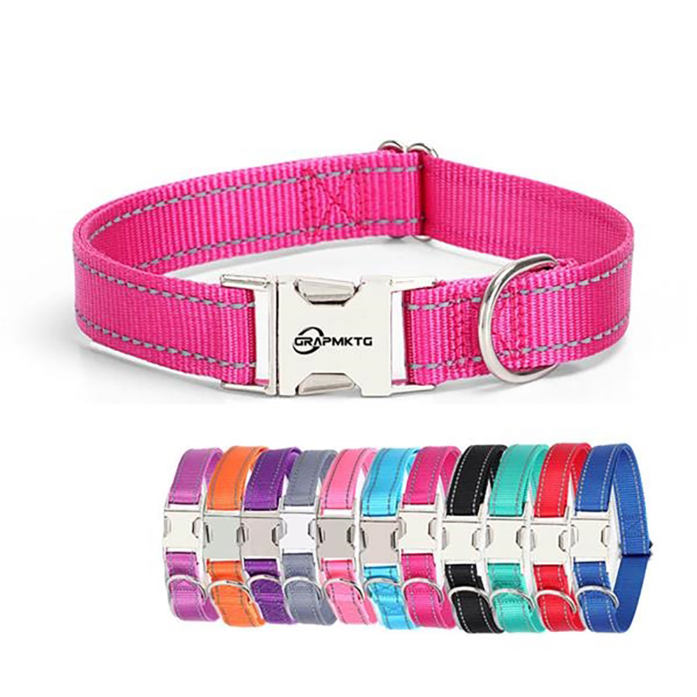 Nylon Dog Collar 1