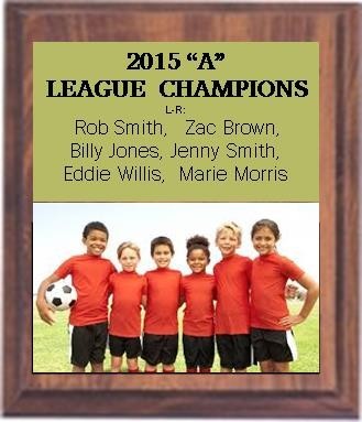 6" x 8" Cherry Finish Plaque with a Full Color Metal Plate 2