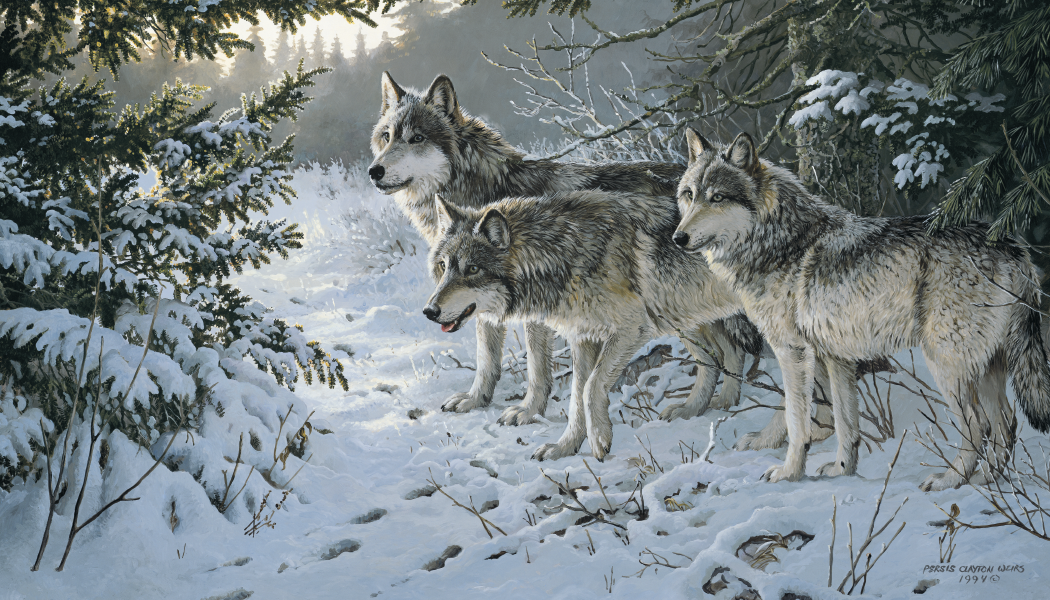 Triumph® Calendars Wildlife Art Calendar 8
