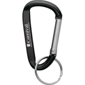 Small Carabiner Key Ring 23