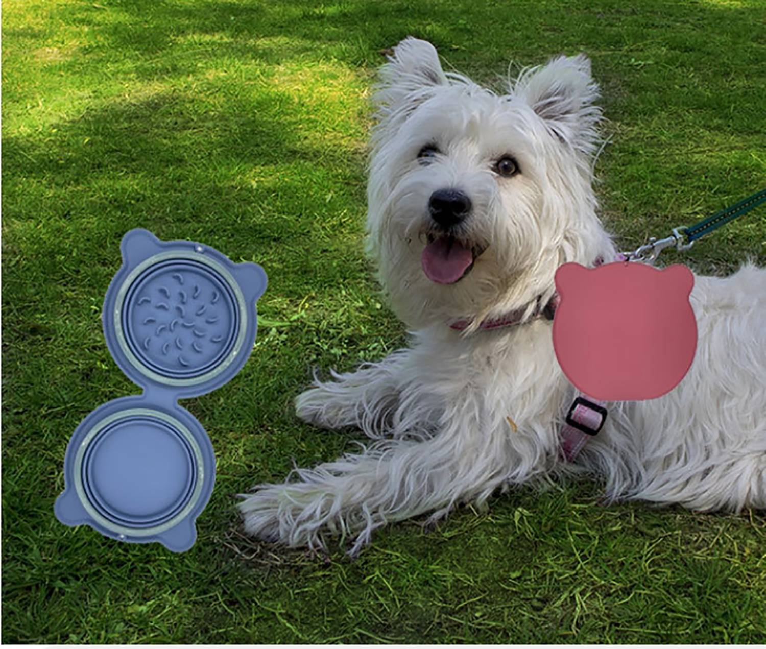 2 in 1 Silicone Foldable Pet bowl 4