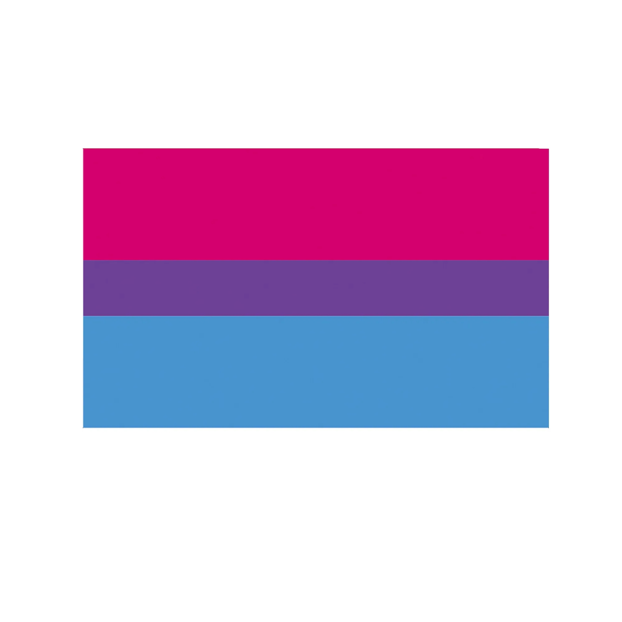 LGBTQ Pride Hand Held Rainbow Flag 9