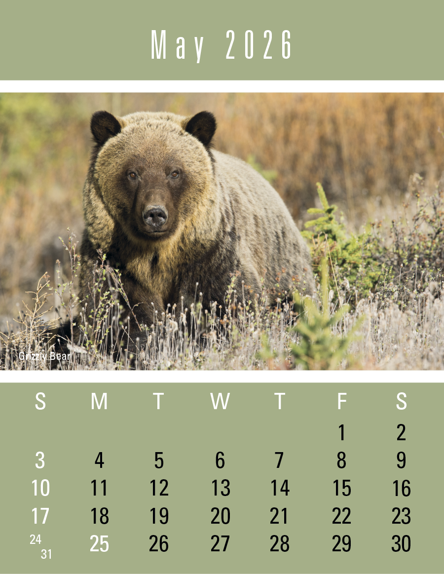 Press-N-Stick Sportsmen Calendar