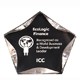 6 Inch Clear/Black Luminary Star Acrylic Trophy 2