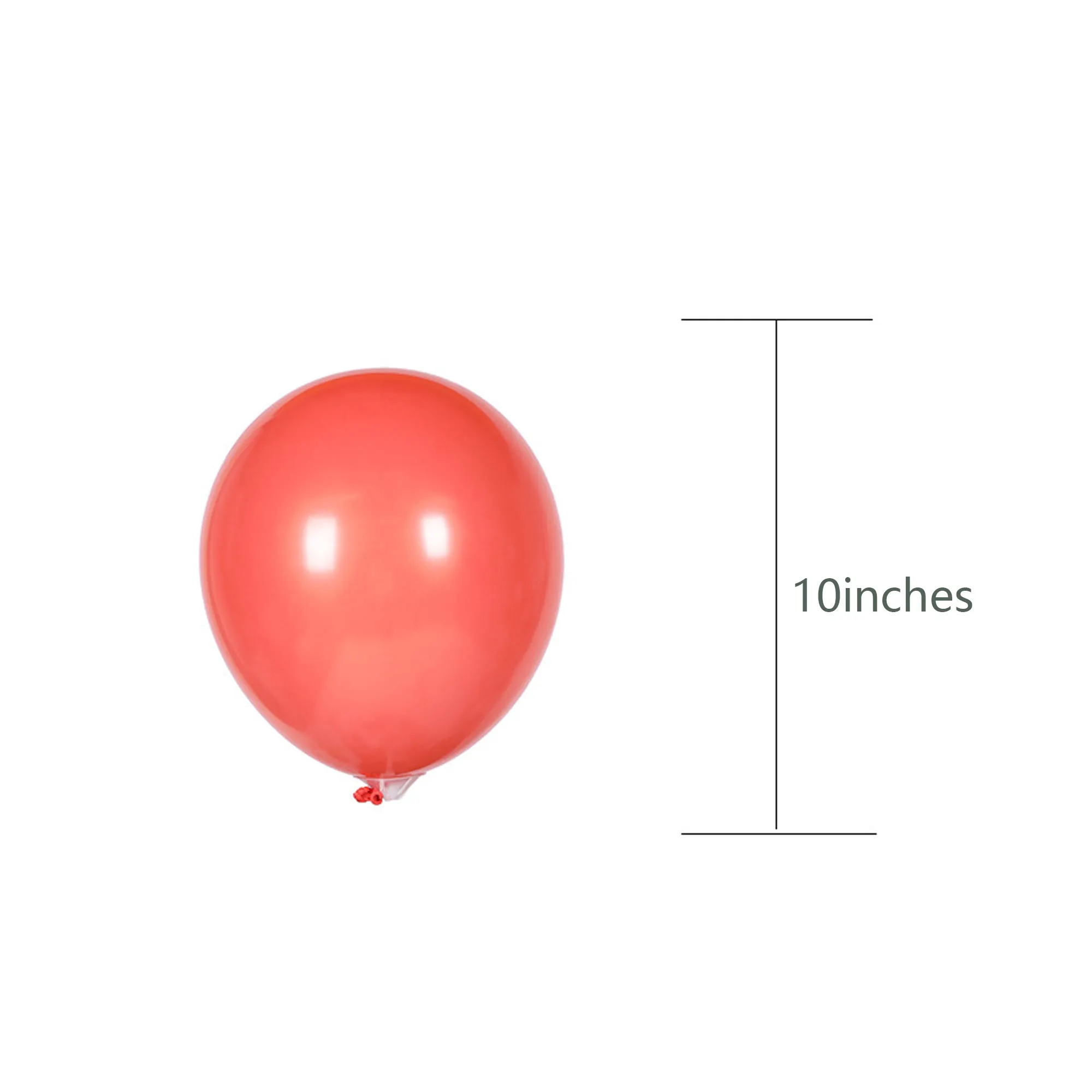 10" Latex Matte Balloon 2