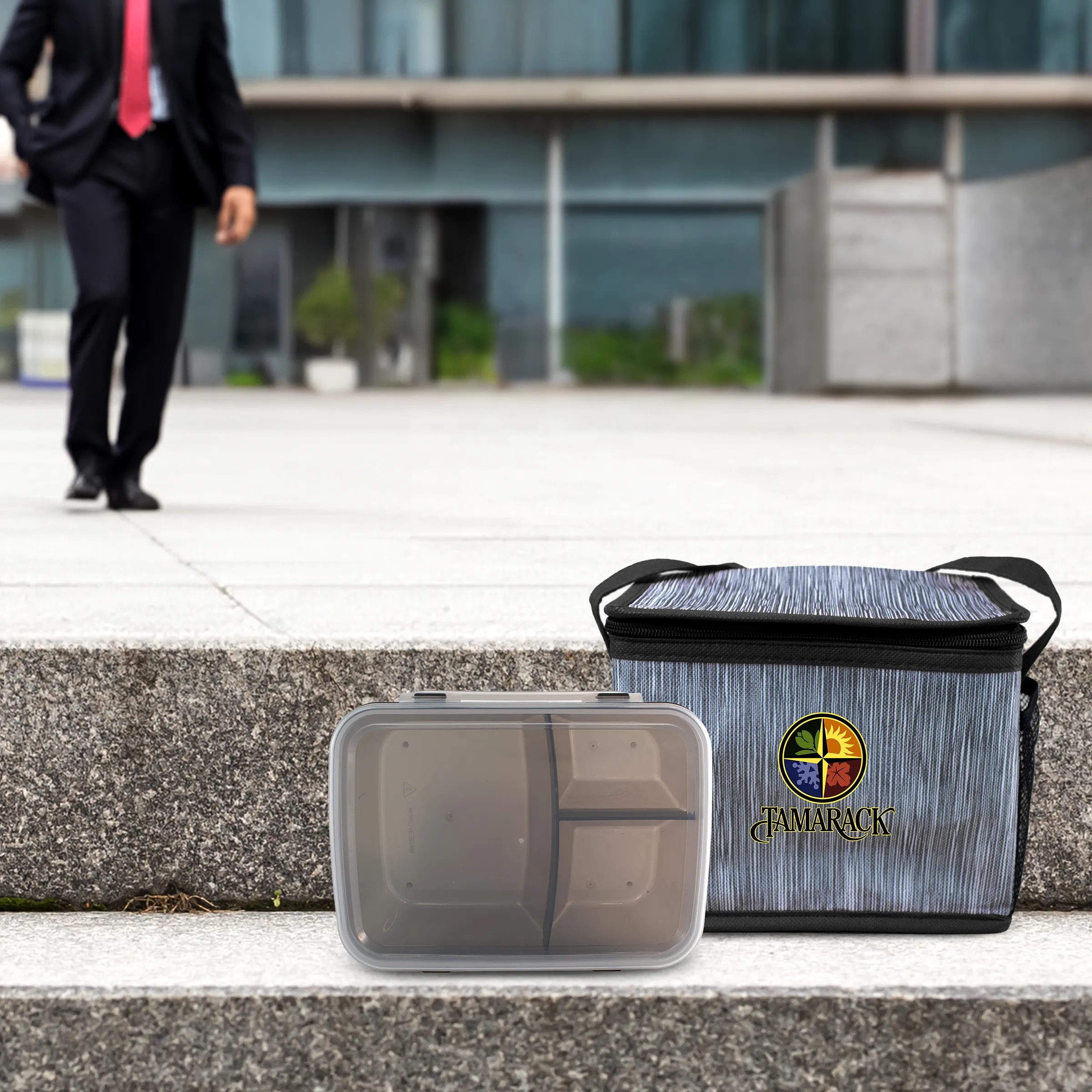 Translucent Lunch To Go Cooler Set 14