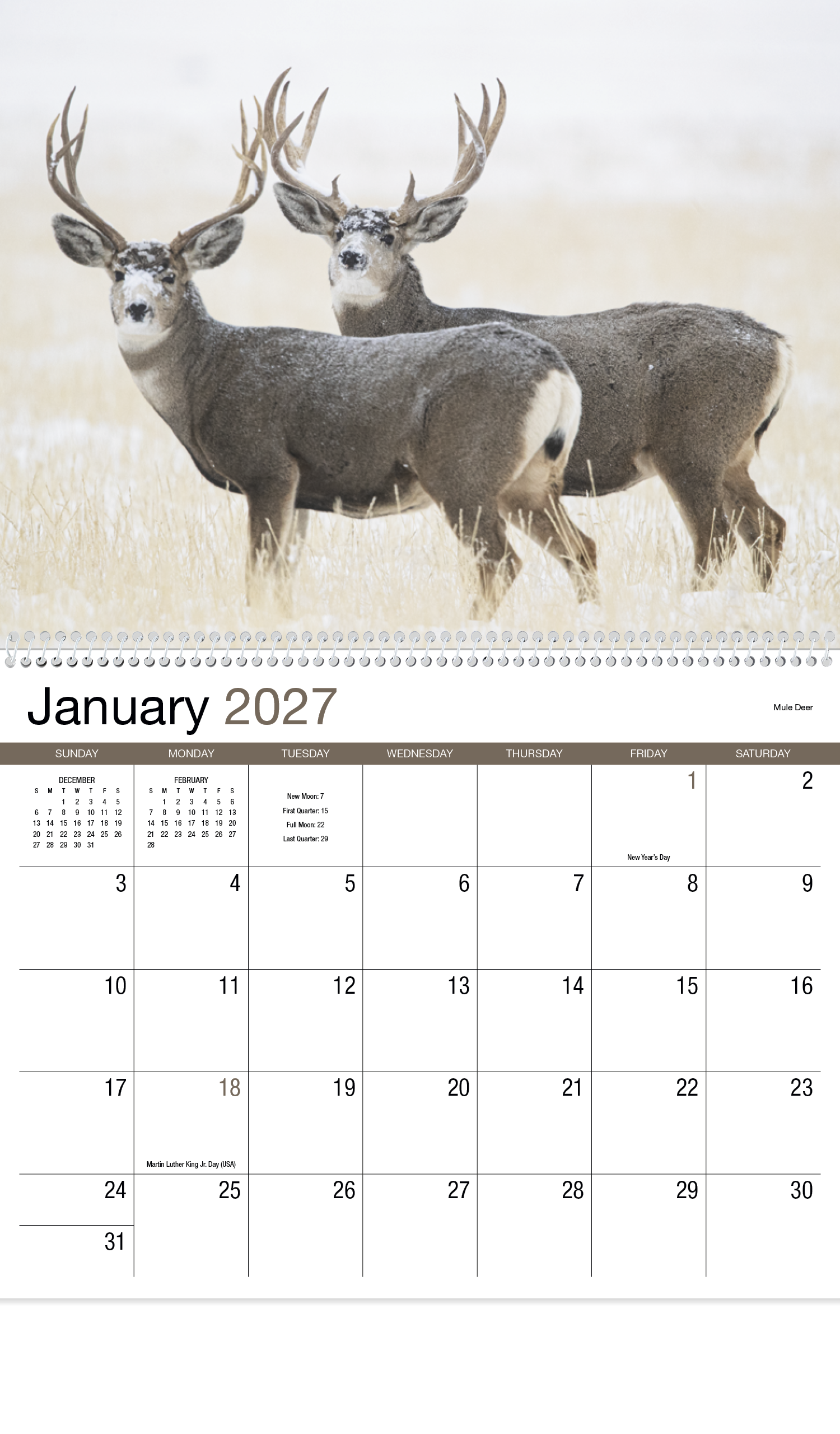 HotLine® Products Wildlife Appointment Calendar - Spiral 38