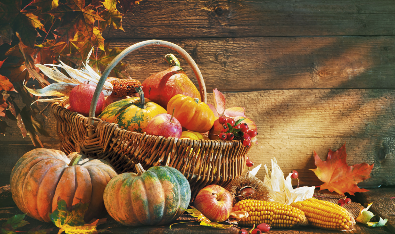 Triumph® Calendars Single Pocket Calendar 31