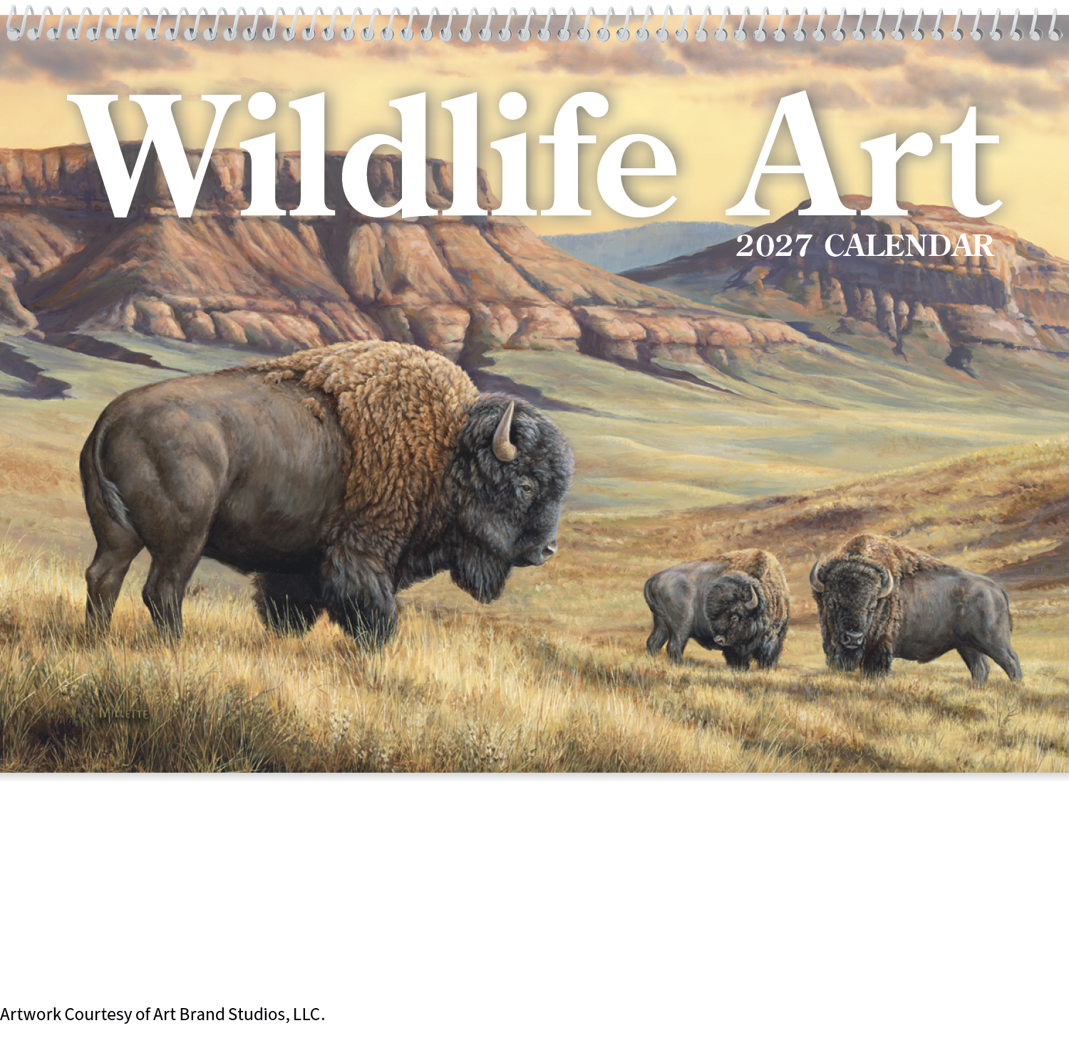Triumph® Calendars Wildlife Art Pocket Calendar 50