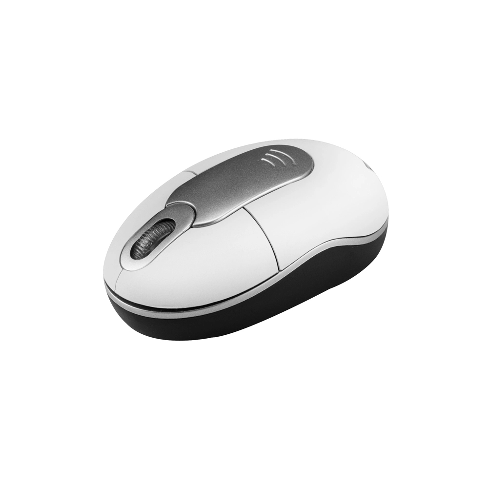 Mighty Mouse Optical Wireless 1