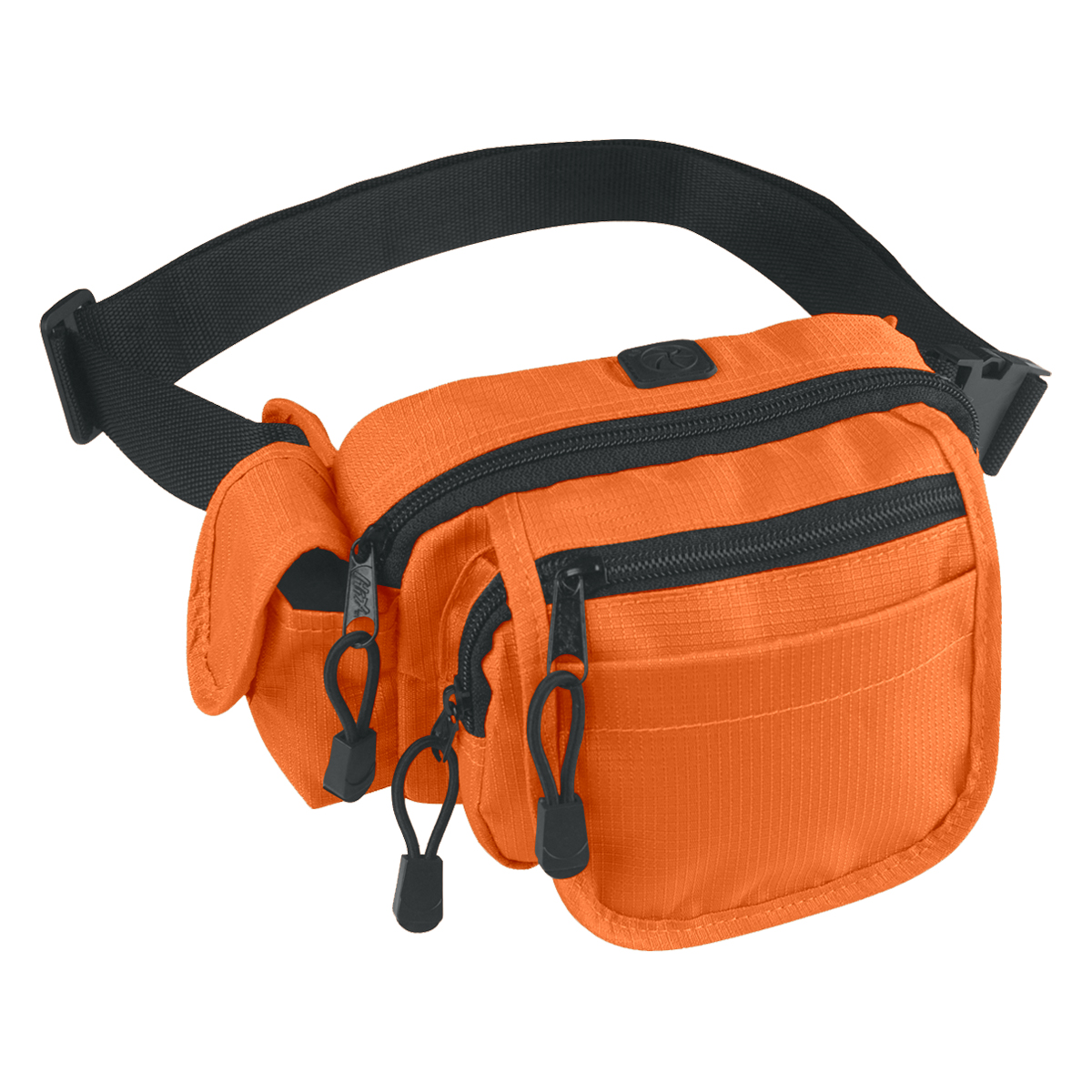 All-In-One Fanny Pack 4
