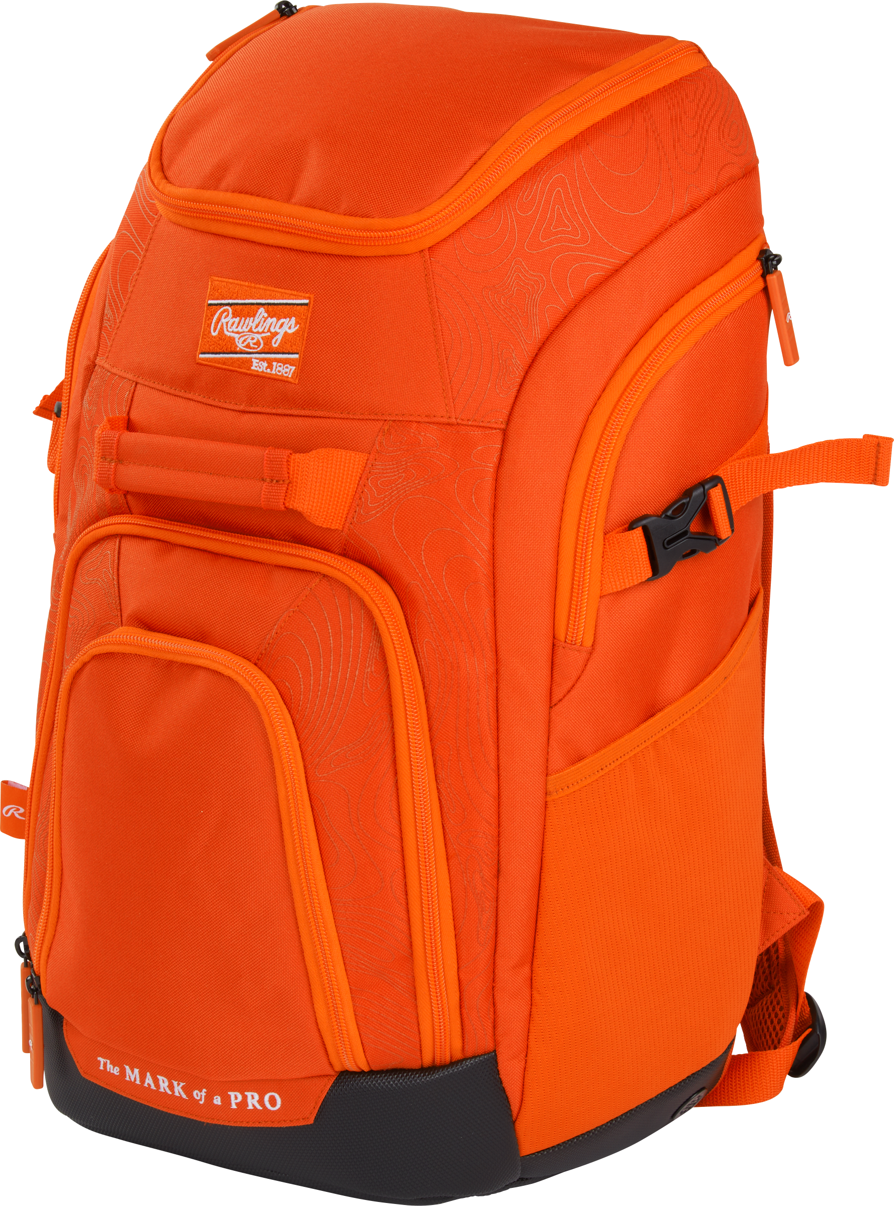 Rawlings Franchise 2 Bag 4