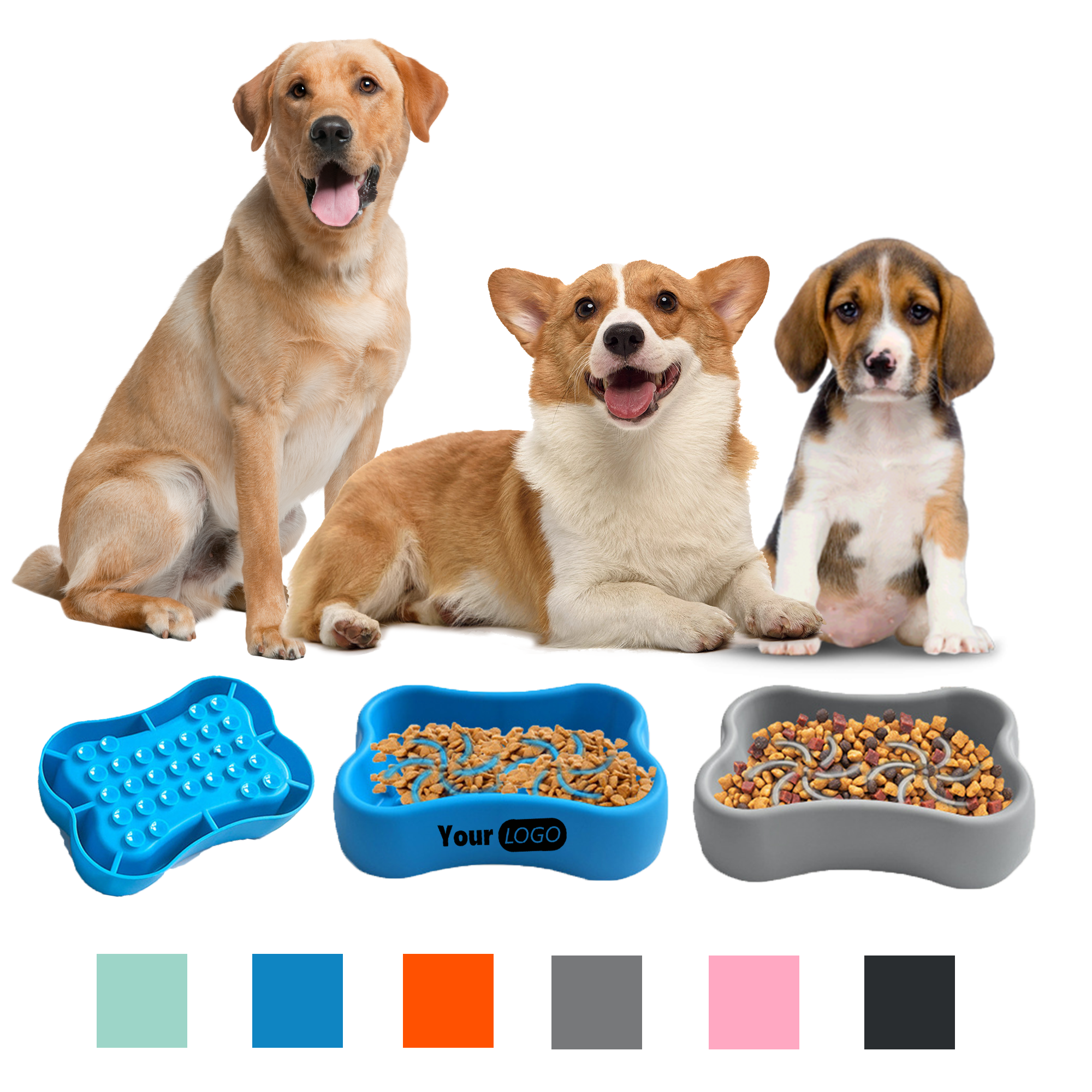 Slow-Eating Dog Bowl 2