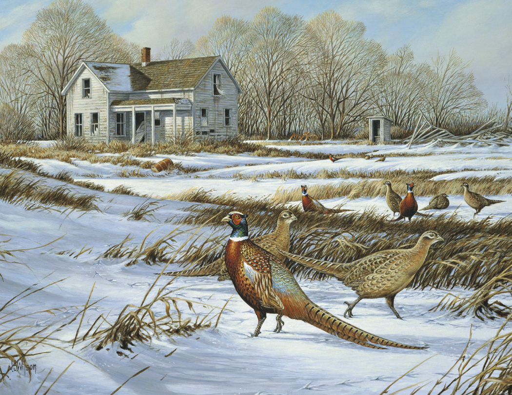 HotLine® Products Wildlife Collection Appointment Calendar - Stapled 1