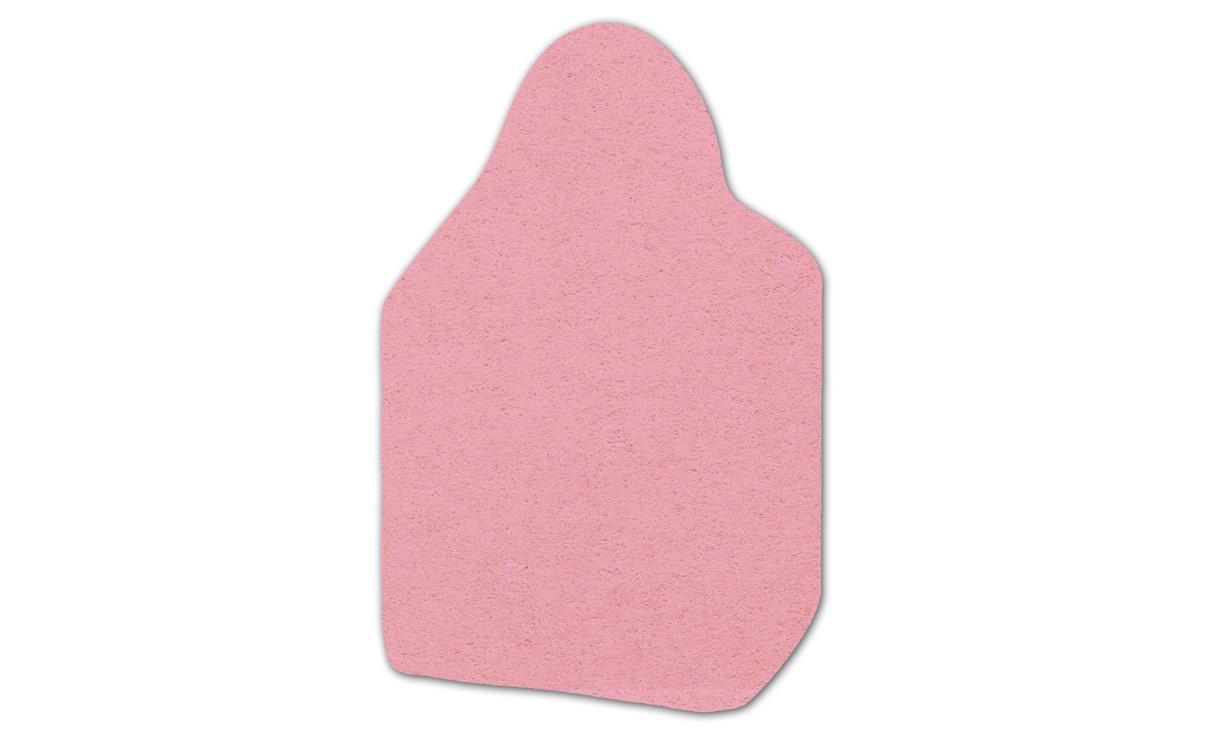 Tote Bag Compressed Sponge 9