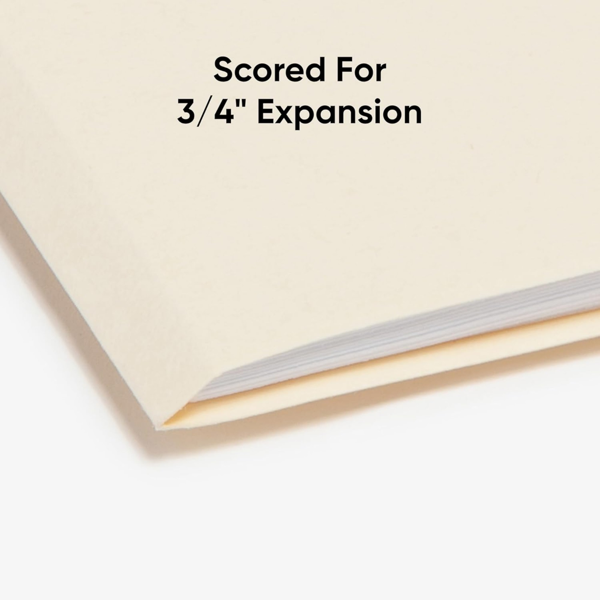 1/3-Cut Tab Letter Size File Folder 6