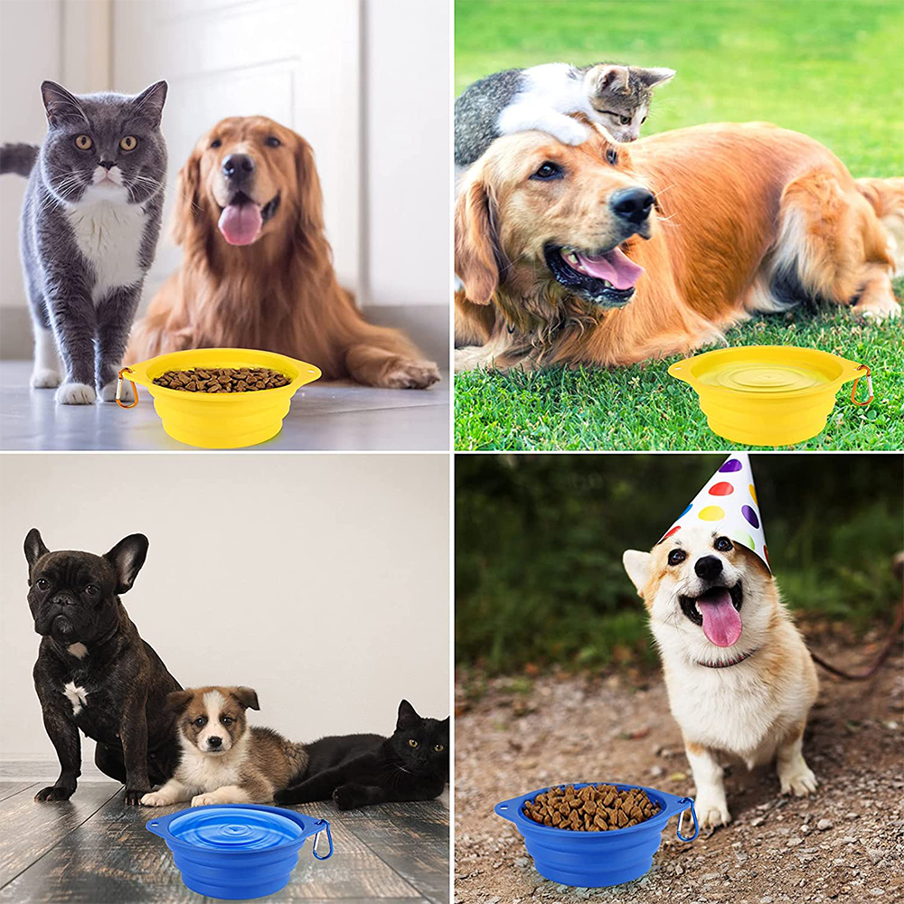 Silicone Collapsible Pet Bowl With Carabiner 1