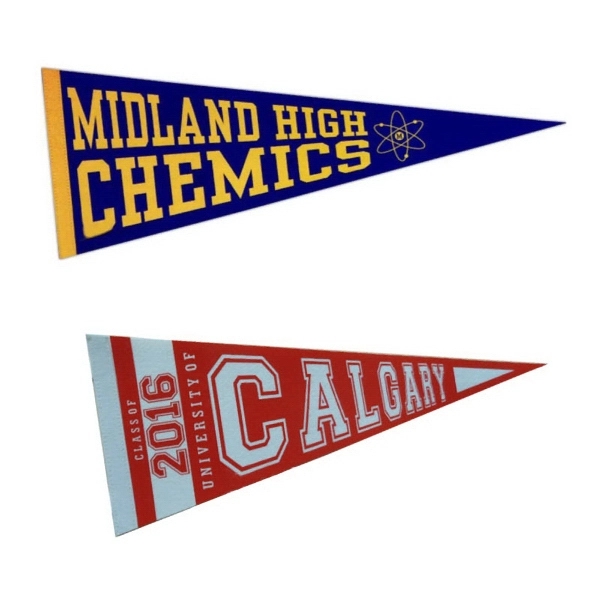 Promotional Fabric Pennant Triangle Flag 1