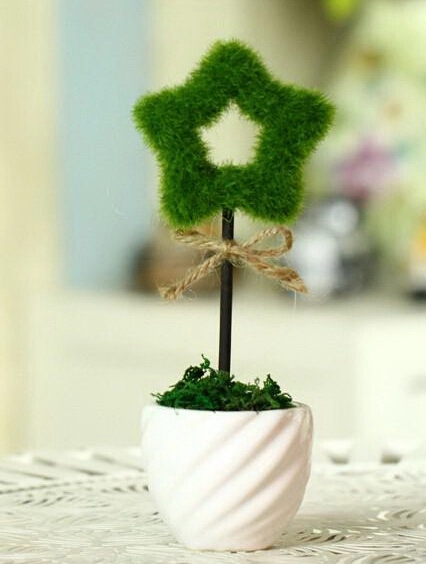 Hollow Star Table Plants 2