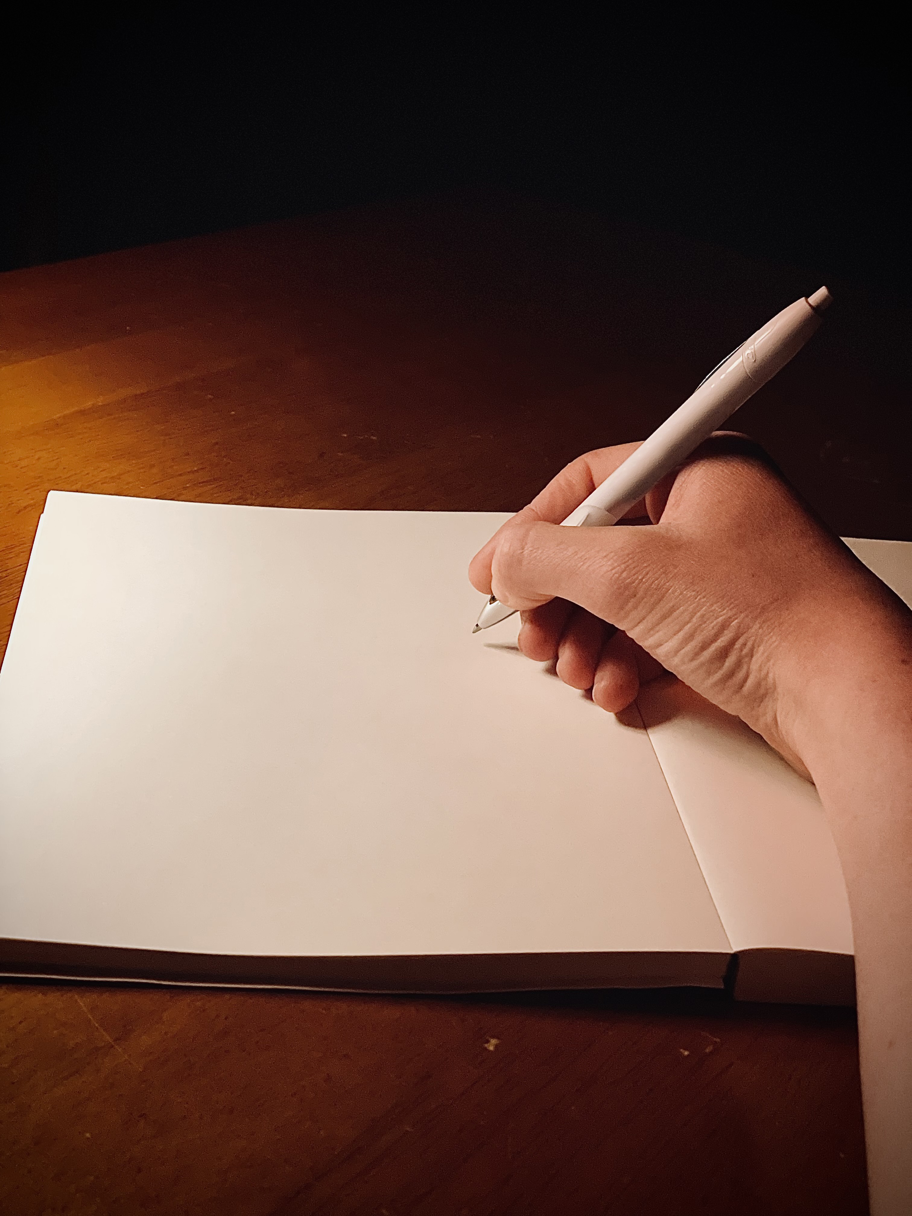 BIC® Ferocity Clic™ Gel Pen