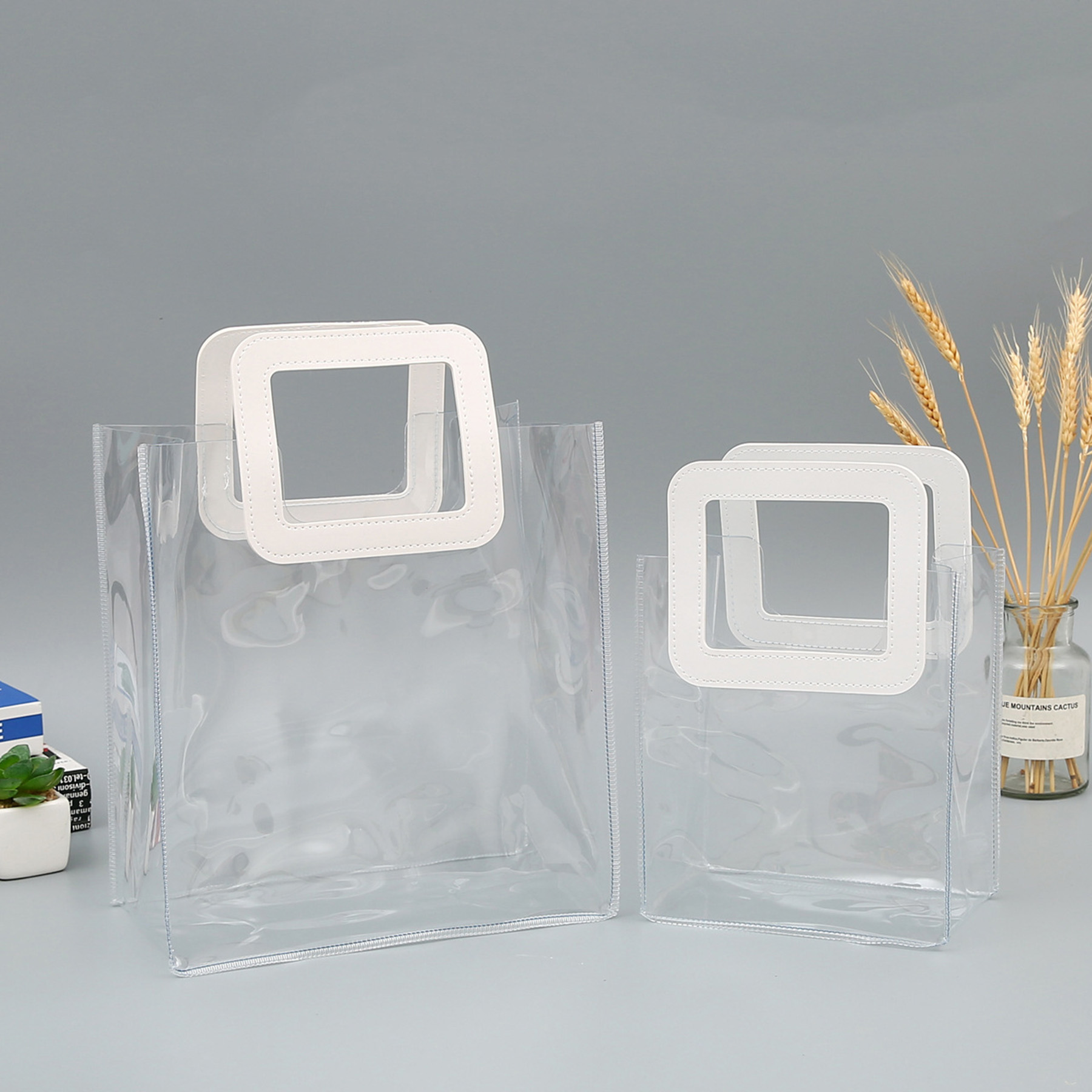 Clear Tote Bag 1