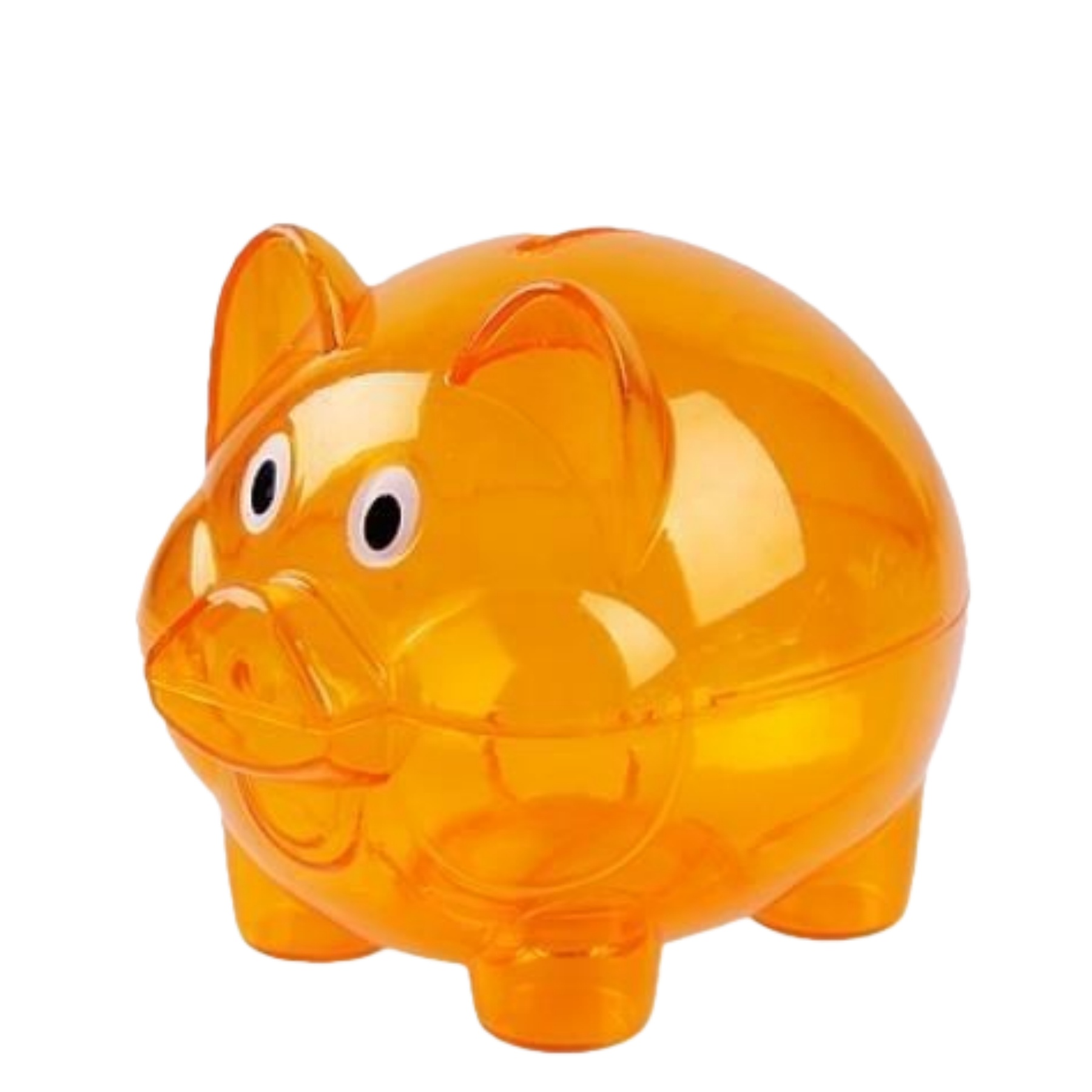 Clear Plastic Piggy Bank 5