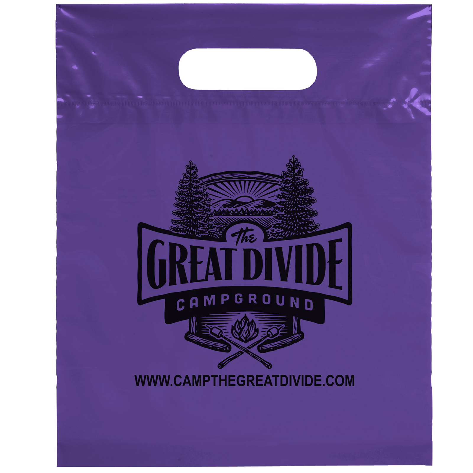 Die Cut Handle Bag - 9 1/2W x 12H - Flexo Ink Print 5