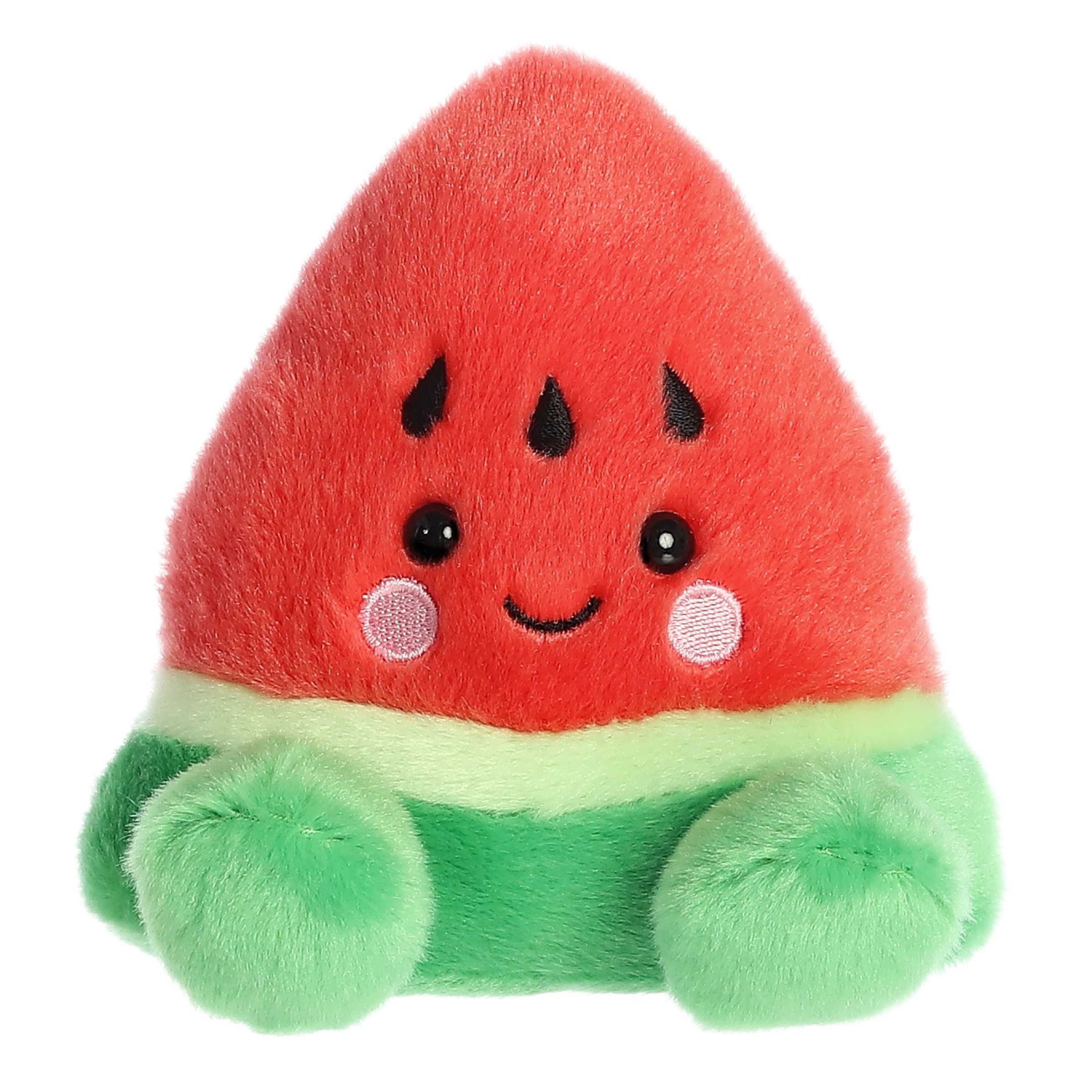 5" Bean Bag Watermelon Fruit 1